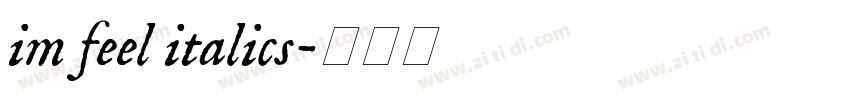 im feel italics字体转换